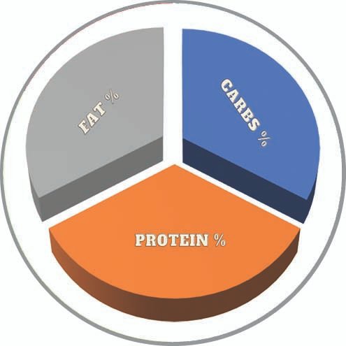 Description of Image